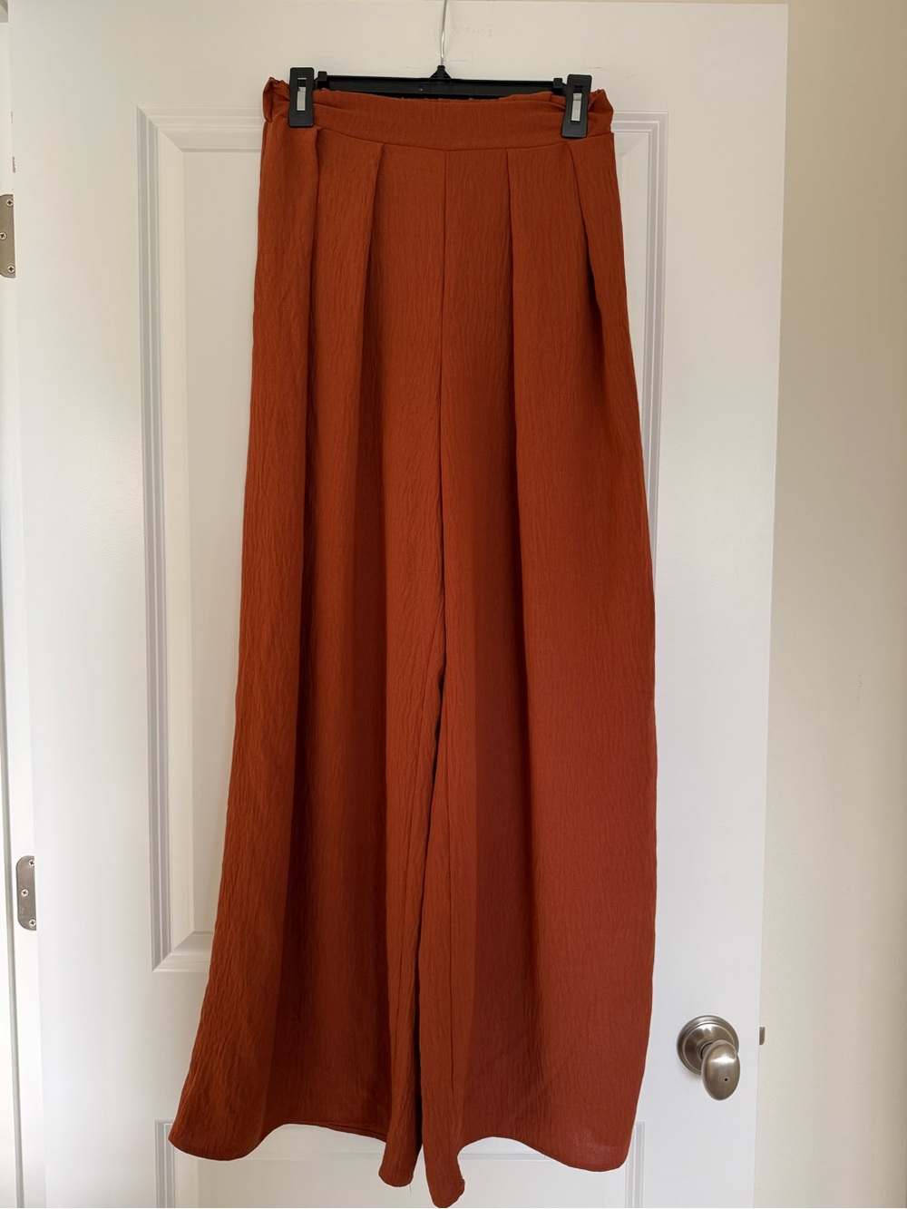 Wide-Leg Pleated Pants in Rust